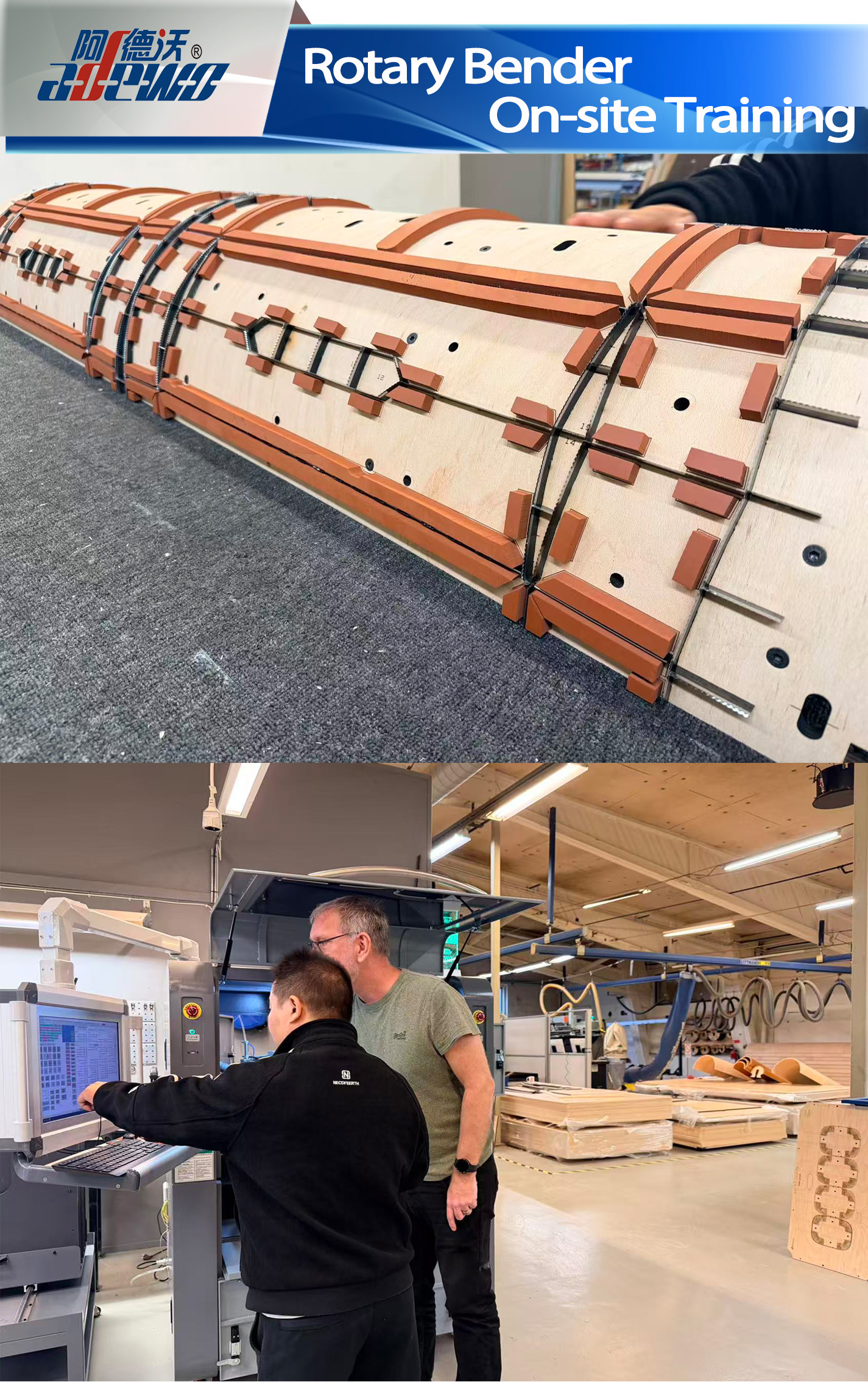 Ротари бедерлі